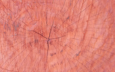 Wood plank to use as background and texture. Crack wood background. Vector illustration.