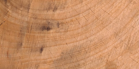 Naklejka premium Wood plank to use as background and texture. Wood texture. Wood texture for design and decoration. Vector illustration.