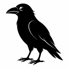 Obraz premium Flying Crow Silhouette Design