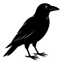 Obraz premium Flying Crow Silhouette Design