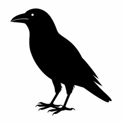 Flying Crow Silhouette Design
