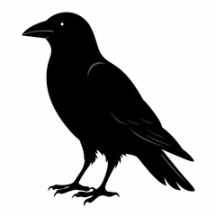 Obraz premium Flying Crow Silhouette Design