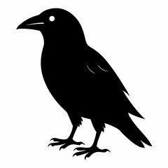 Obraz premium Flying Crow Silhouette Design