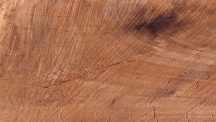 Wood plank to use as background and texture. Wood texture. Wood texture for design and decoration. 