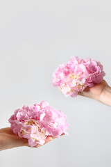 Pink hydrangea flower in woman hand on pastel gray background. Creative minimal style. Vertical. Greeting card. Flowers delivery concept.