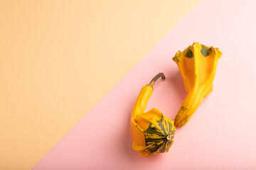 two decorative orange Pumpkins on pink and orange pastel paper, side view, copy space