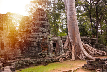 Obraz premium Angkor ancient temple ruins in Cambodia