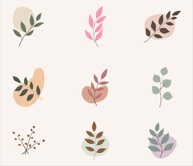 Abstract Botanical Boho Composition with Organic Shapes and Mid Century Modern Foliage Design