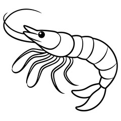 Elegant Shrimp Outline Vector Design