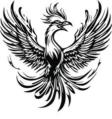 Obraz premium black and white bird