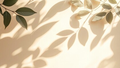 Nature's grace leaf shadows on cream background artistic photography soft light minimalist style