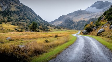 Naklejka premium Mountain Road Winding Path Rustic Landscape High-resolution Wide Angle View Autumnal Foliage Journey Ahead Alpine Valley Serene Autumnal Travel Photography
