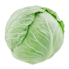 Fresh Whole Green Cabbage Isolated On White or transparent Background. Healthy Vegetable For Diet.