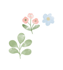 pink flower on white background