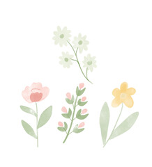 vector illustration of a flower
