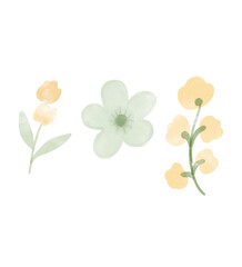 vector floral background