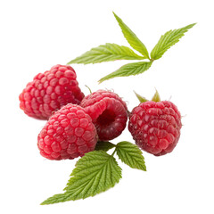 raspberries with leaves isolated on white or transparent png
