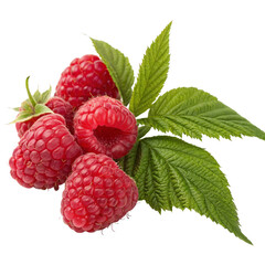 raspberries with leaves isolated on white or transparent png