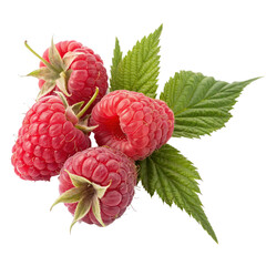 raspberries with leaves isolated on white or transparent png