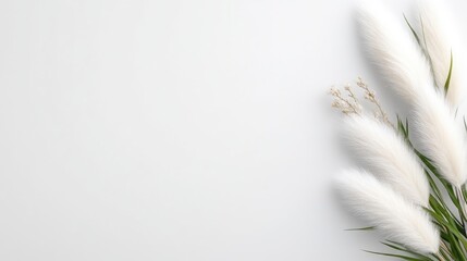 Pampas Grass with Dried Accents Minimalist Style High-Resolution Soft Lighting Horizontal Close-up Arrangement Botanical Design White Neutral Tones Perfect for Wedding Invitations