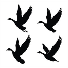 Obraz premium set of vector birds