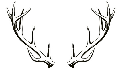 A black and white hand-drawn illustration of symmetrical deer antlers. The rustic and detailed design symbolizes nature, wilderness, and hunting, ideal for logos, decor, and outdoor-themed art.