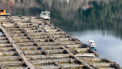 Rustic fish farm on calm lake with small boat in serene nature, aquaculture, Earth Day environmental conservation