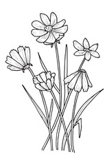 Composition of a bouquet of daisies. Illustration in a hand-drawn style on a white background.