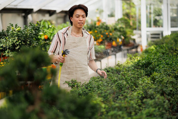 Asian florist watering bonsai trees in garden center