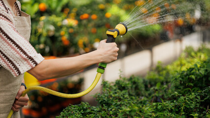 Partial view of male florist watering bonsai trees in greenhouse
