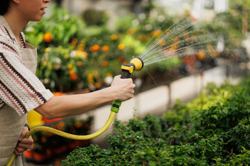 Partial shot of florist watering plants in garden center