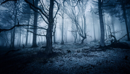 dark forest horror background with fog
