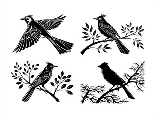 Obraz premium bulbul sihouette black vector bundle