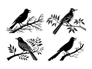 bulbul sihouette black vector bundle
