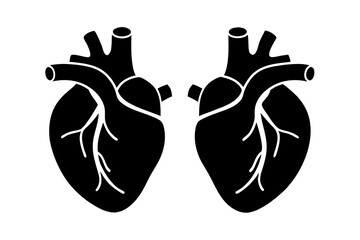 Set of heart icon, silhouette of heart, symbol of heart with anatomy