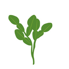 Illustration of a branched lime leaf. Illustration of a hand-drawn lime leaf 