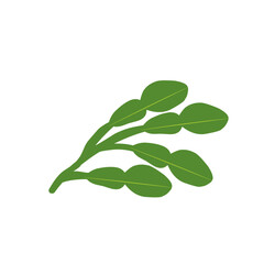 Illustration of a branched lime leaf. Illustration of a hand-drawn lime leaf 