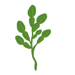 Illustration of a branched lime leaf. Illustration of a hand-drawn lime leaf 
