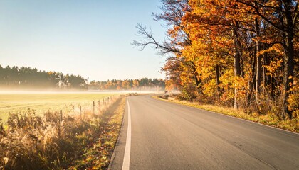 Fototapeta premium Scenic autumn drive through misty fields and vibrant foliage countryside road photography serene environment landscape perspective