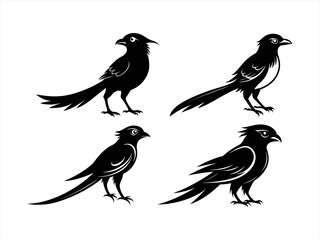 drongo sihouette black vector bundle