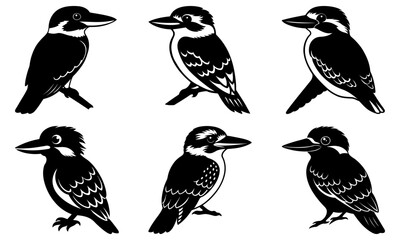 Kookaburra Silhouette vector