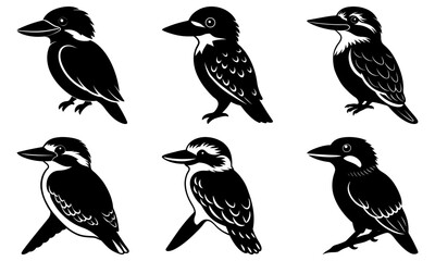 Kookaburra Silhouette vector