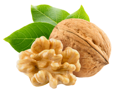 Walnut isolated png. Unpeeled walnut with a half on transparent background. Perfect retouched walnuts with kernel and leaf no background. Nuts with leaves composition. Full depth of field.
