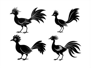 Obraz premium lyrebird sihouette black vector bundle