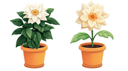 flower in a pot on white background