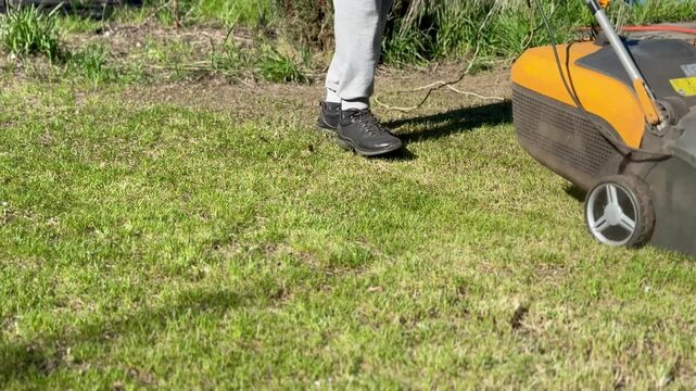 Lawn aeration or scarification, spring gardening work	