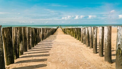 Fototapeta premium Stunning beach poles leading to the serene coast of Domburg in Zeeland, Netherlands