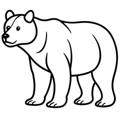 Fototapeta premium Geometric Bear Line Drawing