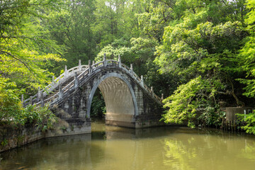 Beautiful view of Xianhu Botanical Garden in Shenzhen, China