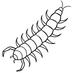 Single Line Centipede Illustration Vector